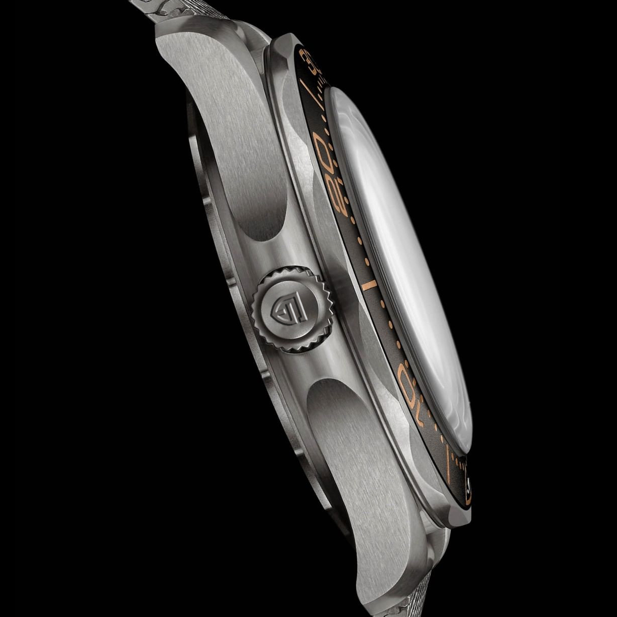 PAGANI DESIGN Men's Watches Lu - đánh giá và giá Rolex Watch Submariner
